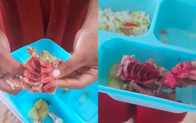 Tragedi Keracunan MBG di Cianjur: Tinjauan Lengkap dan Respons Komprehensif Badan Gizi Nasional